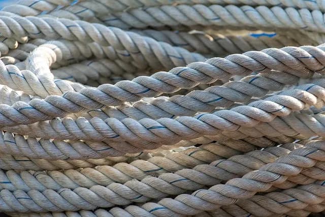 Les enjeux de la connectivité durable en Belgique : enjeux et solutions