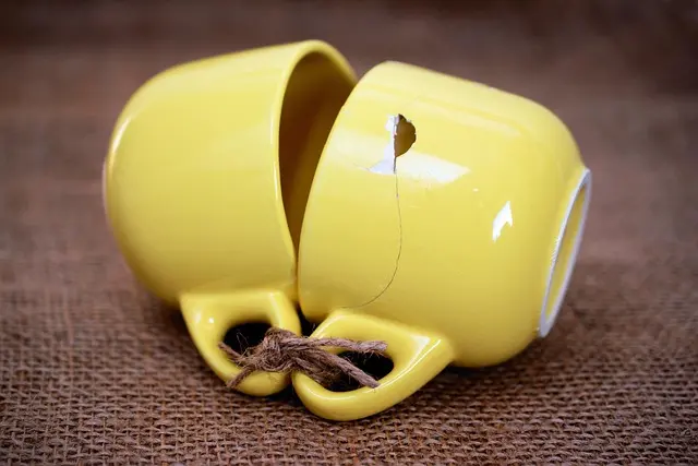 Les meilleurs gadgets connectés pour les Belges : notre sélection