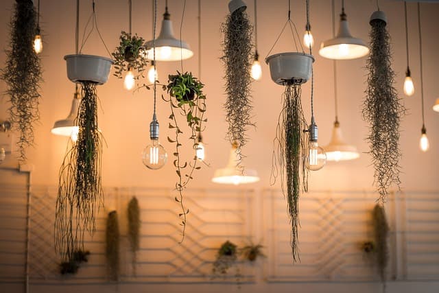 Connectivité à la maison : Objets indispensables en Belgique